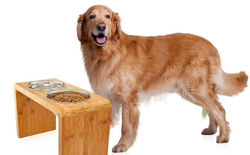 how-to-find-the-best-dog-food-bowls-for-golden-retrievers