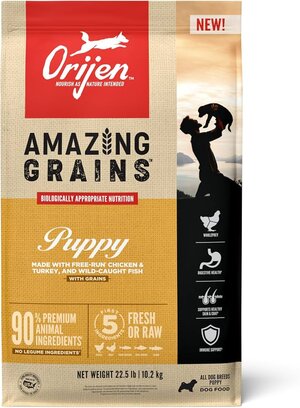 orijen_puppy_dry_dog_food