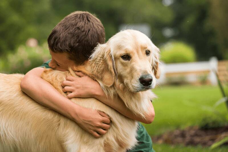 are-golden-retrievers-good-with-kids